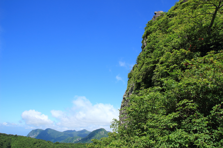 仙台カゴ