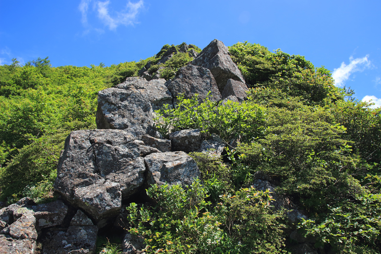 仙台カゴ