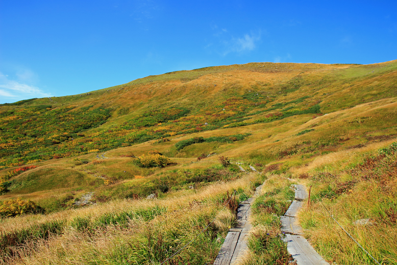 月山