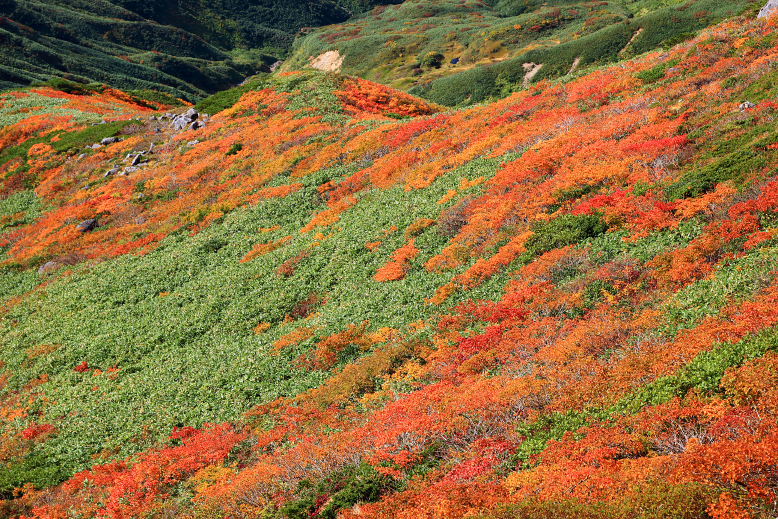 月山