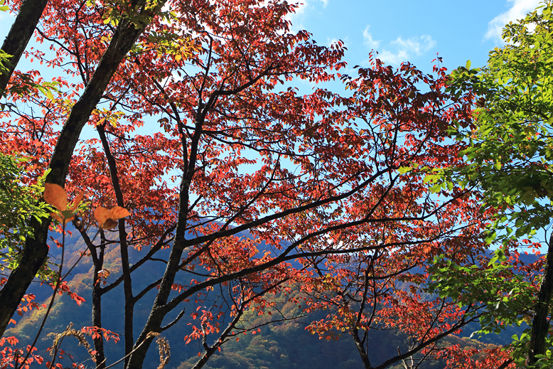 豪士山