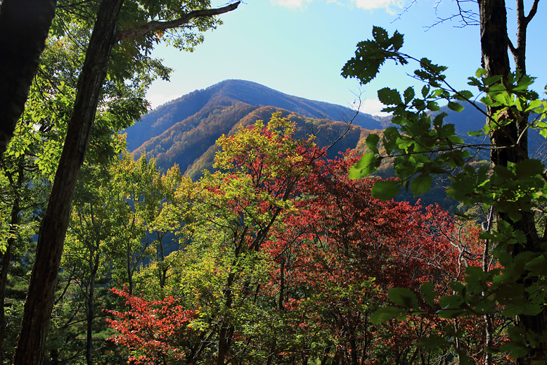 豪士山