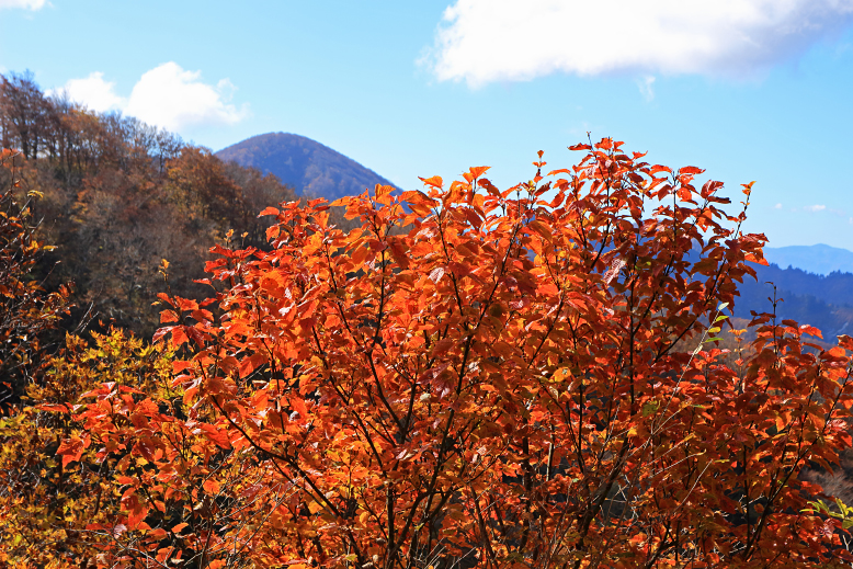 豪士山
