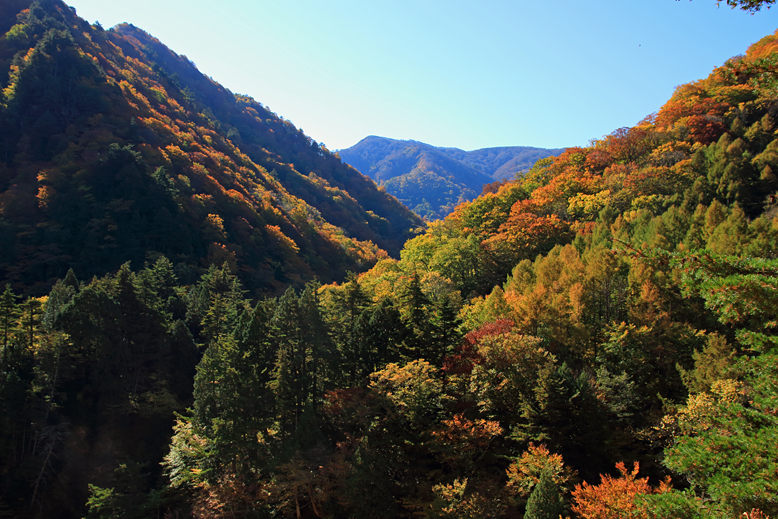 御所山林道
