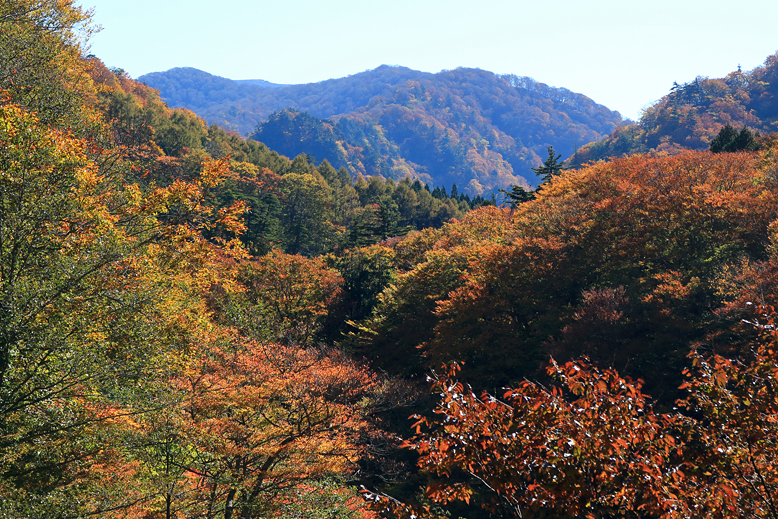 御所山林道