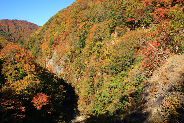 御所山林道