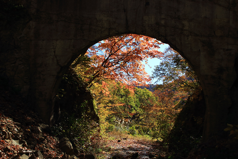 御所山林道