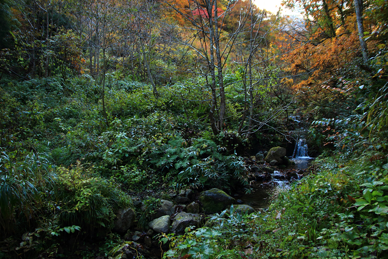 高畠駒ヶ岳