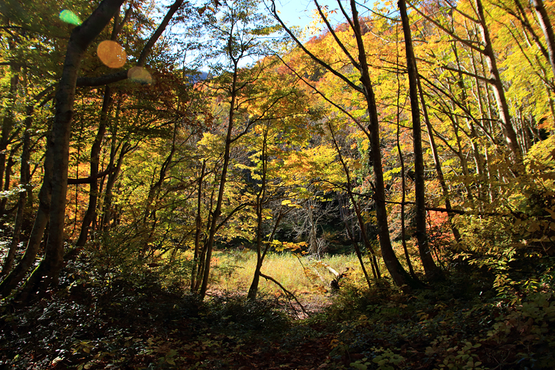 高畠駒ヶ岳