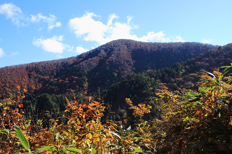 高畠駒ヶ岳