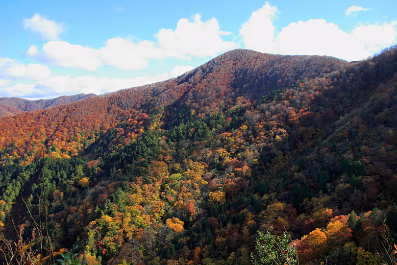 高畠駒ヶ岳