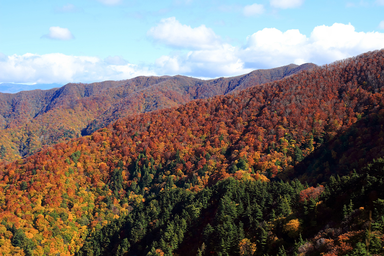 高畠駒ヶ岳