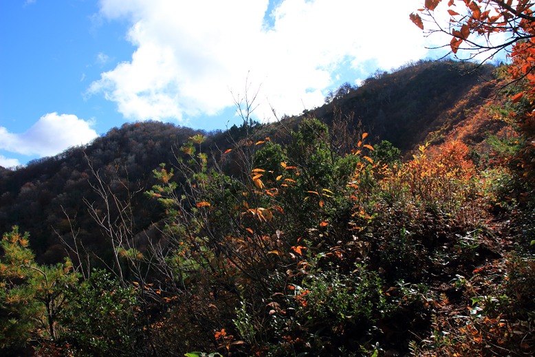 高畠駒ヶ岳