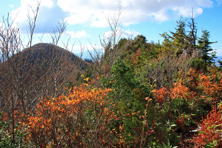高畠駒ヶ岳