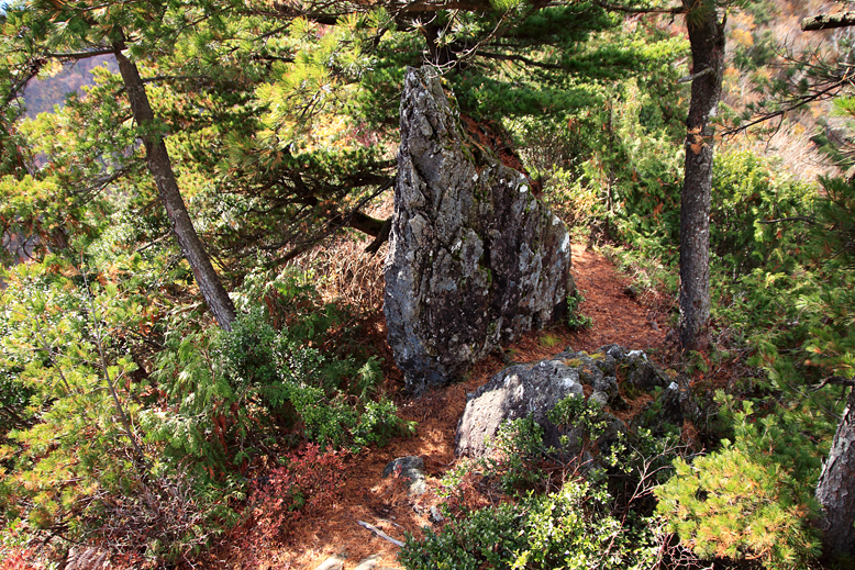 高畠駒ヶ岳