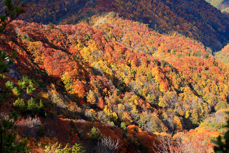 高畠駒ヶ岳