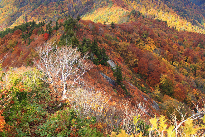 高畠駒ヶ岳