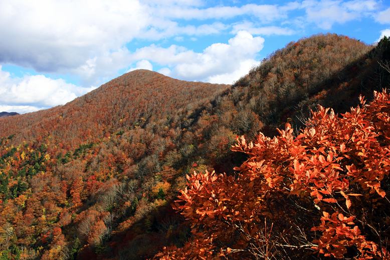 高畠駒ヶ岳