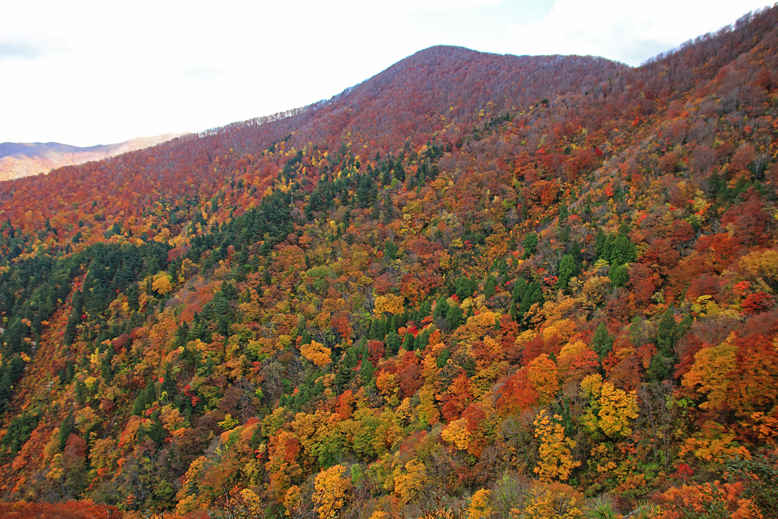高畠駒ヶ岳