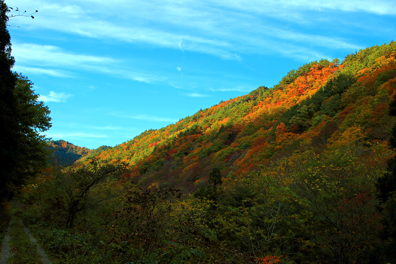 高畠駒ヶ岳