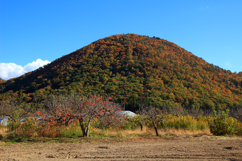 大岡山