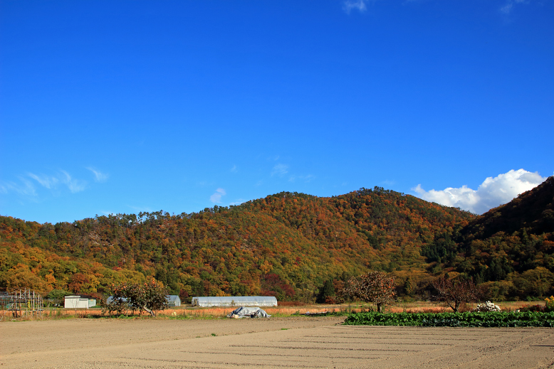 大岡山