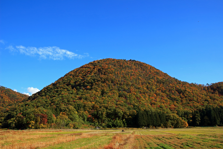大岡山