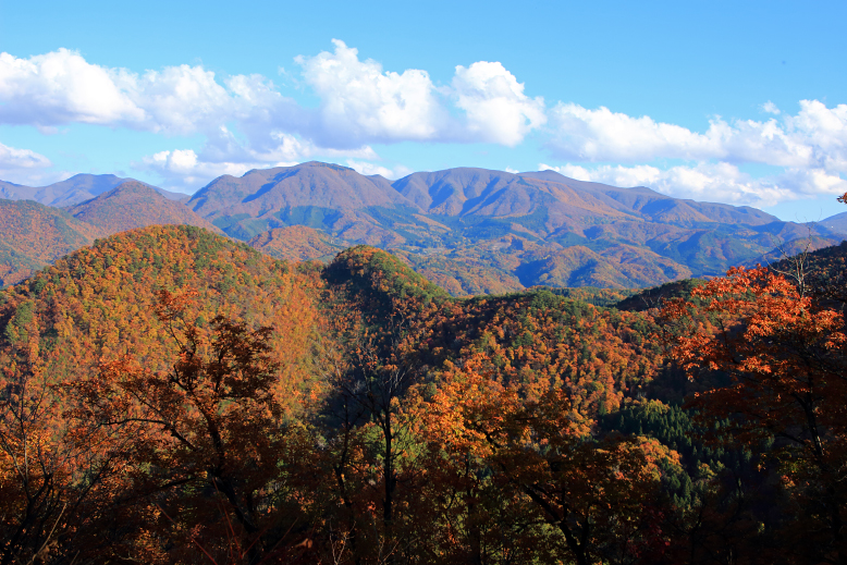 大岡山