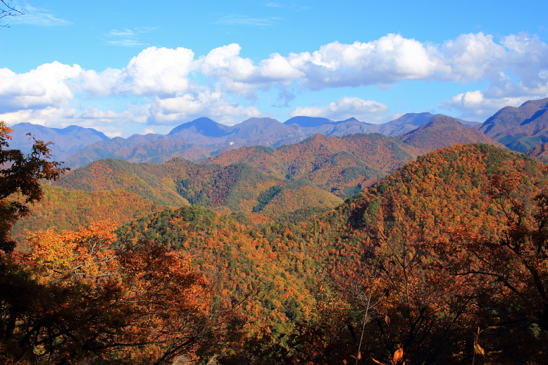 大岡山