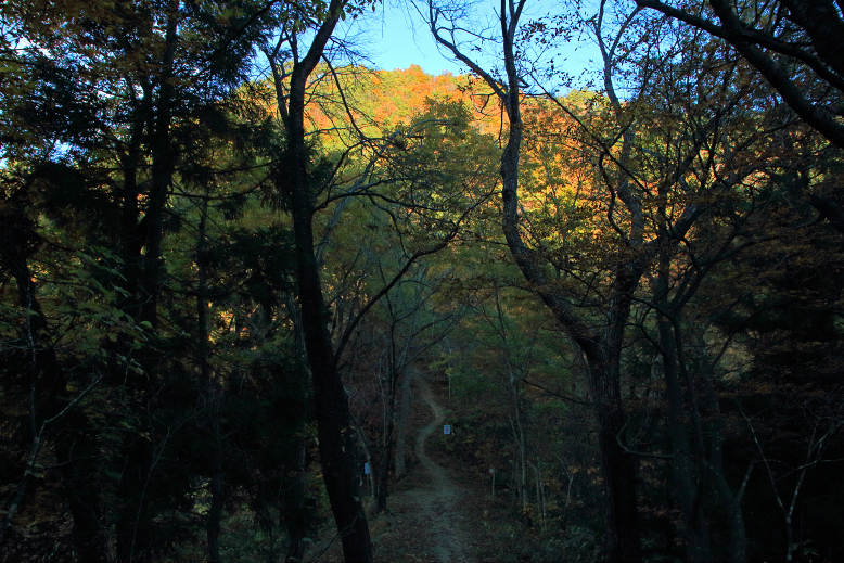 大岡山