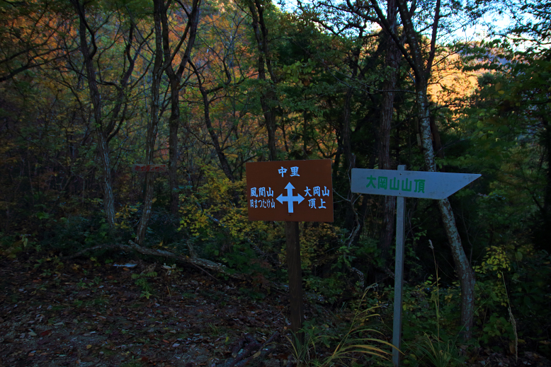 大岡山