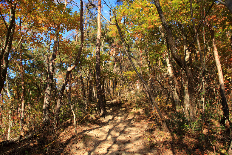 大岡山