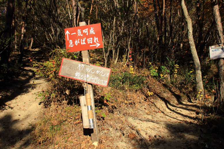 大岡山