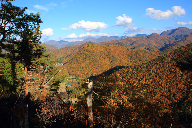 大岡山