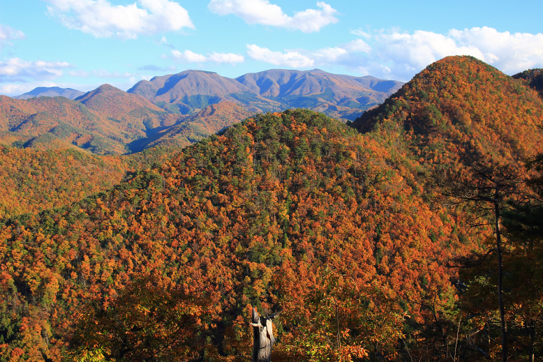 大岡山