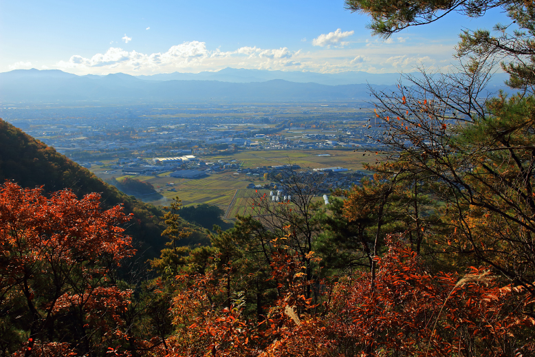 大岡山