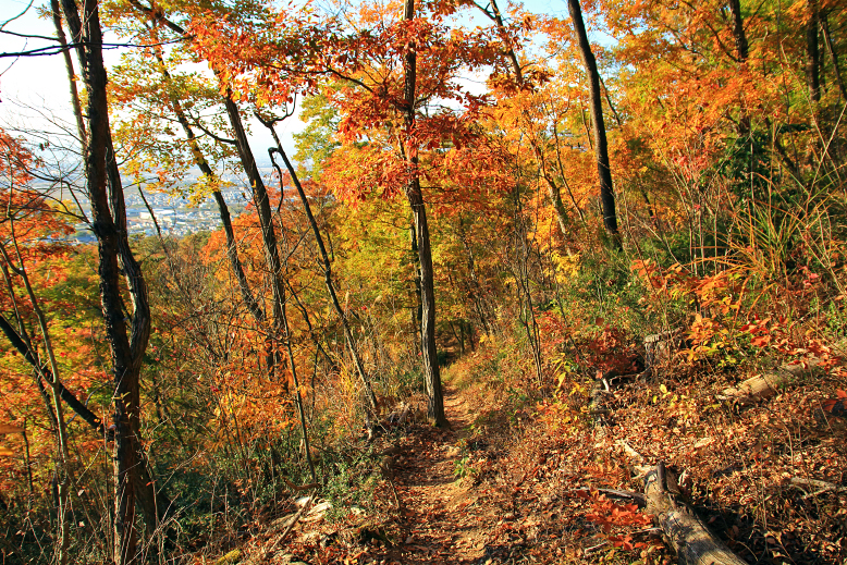 大岡山