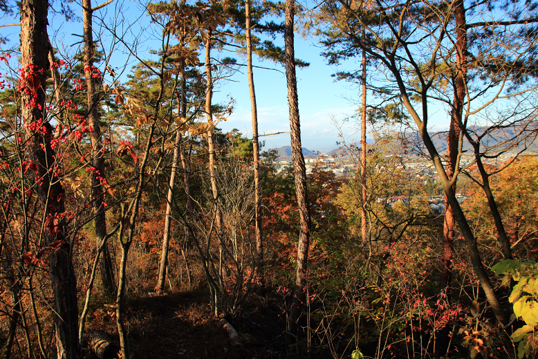大岡山