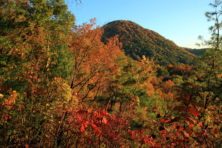 大岡山