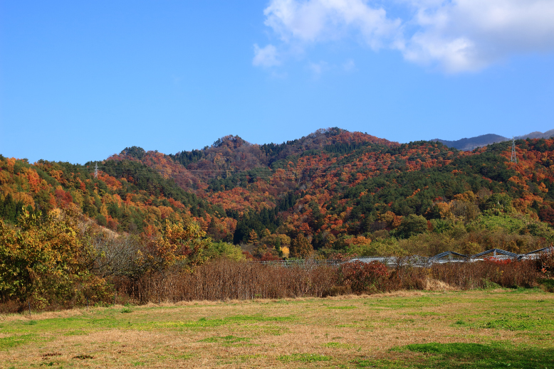 雨呼山