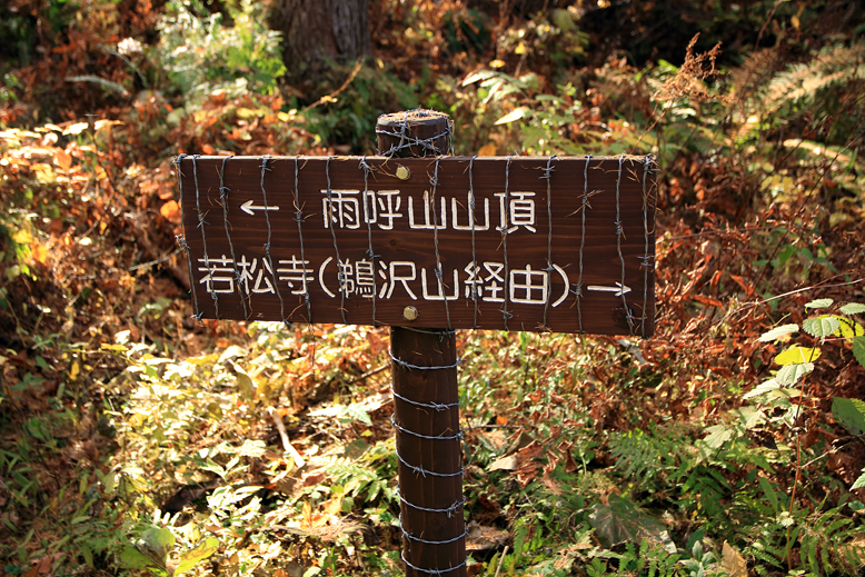 雨呼山