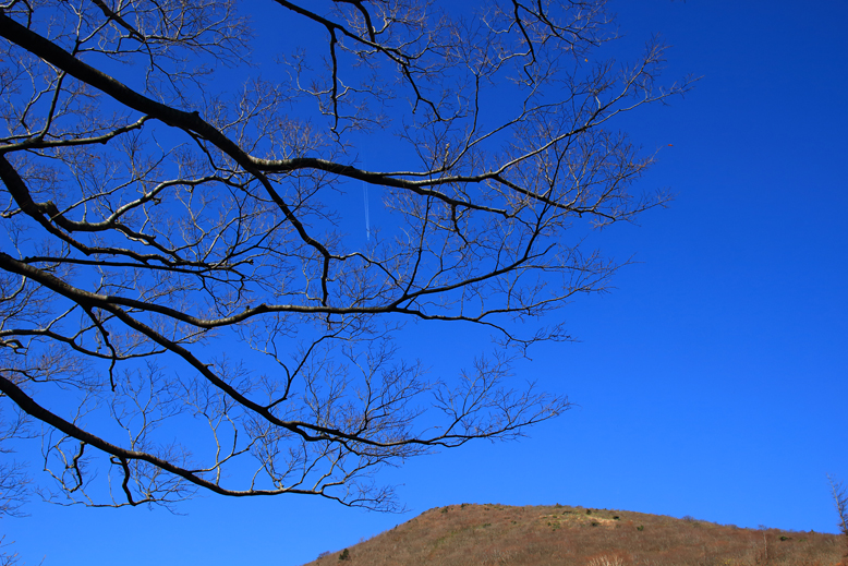 ハマグリ山