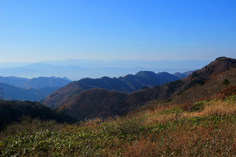 ハマグリ山