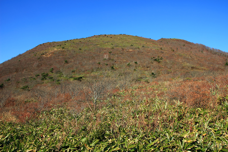 ハマグリ山