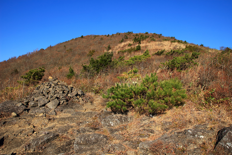 ハマグリ山
