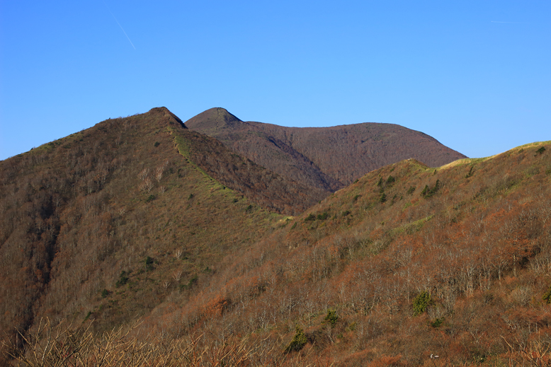 ハマグリ山