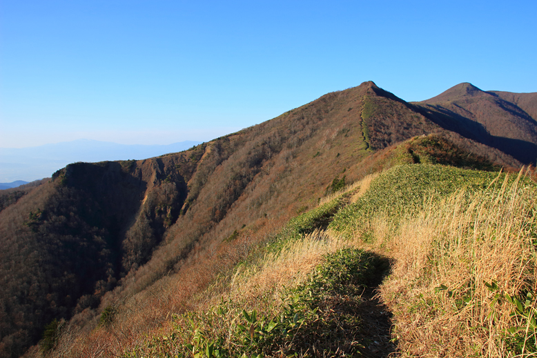 ハマグリ山