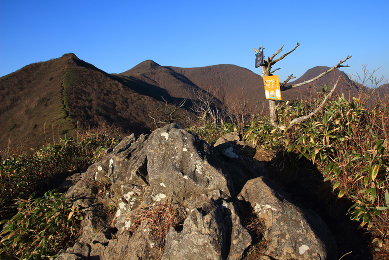 ハマグリ山