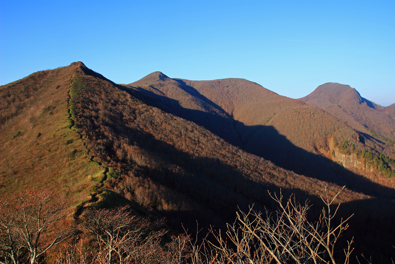 ハマグリ山