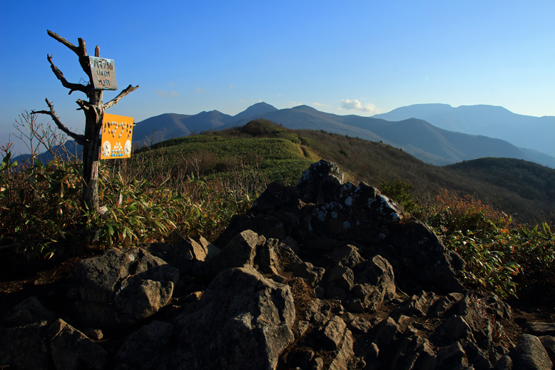 ハマグリ山